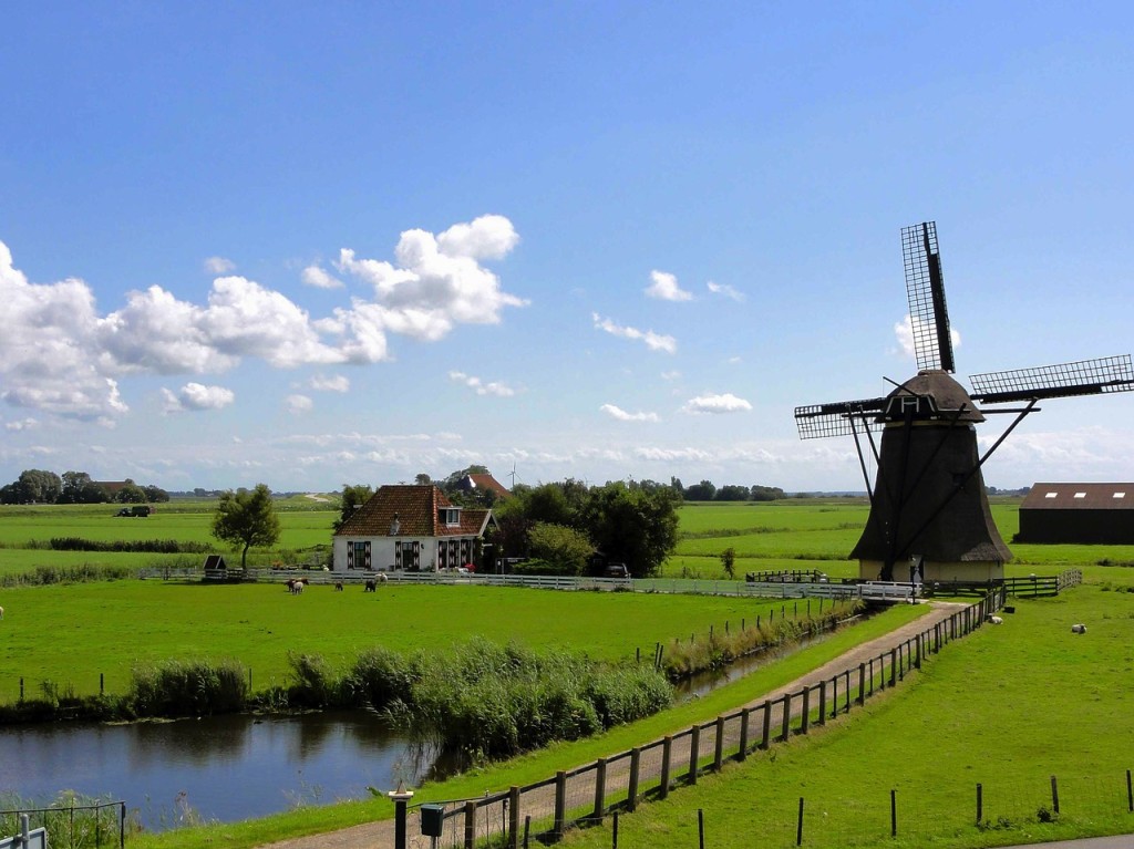 Windmühle auf einer grünen Wiese in Holland